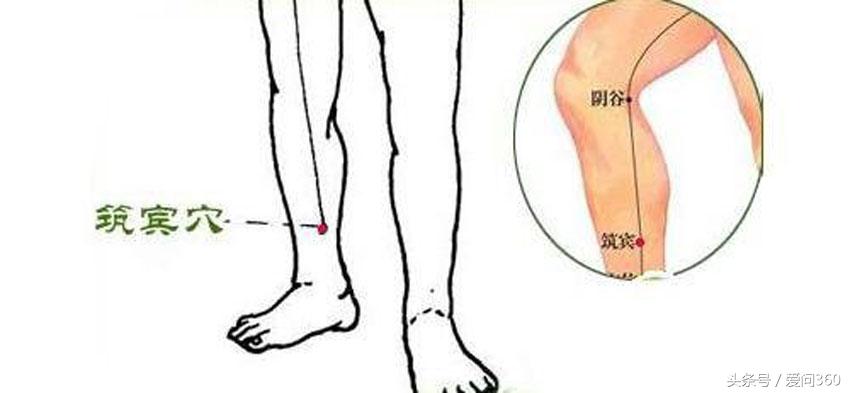 按什么穴位可以提高人的记忆,快速记忆人体穴位的口诀