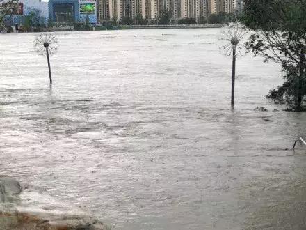 成都诺亚方舟最新新闻,成都诺亚方舟2020