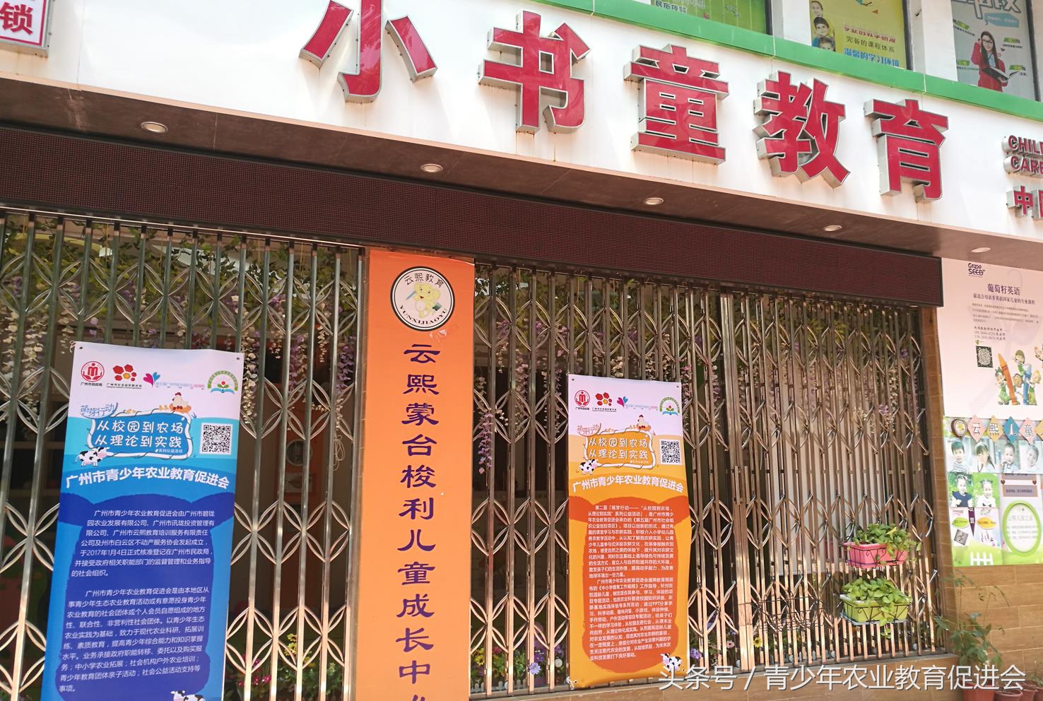 早教公益课堂记录,早教公益课活动目的