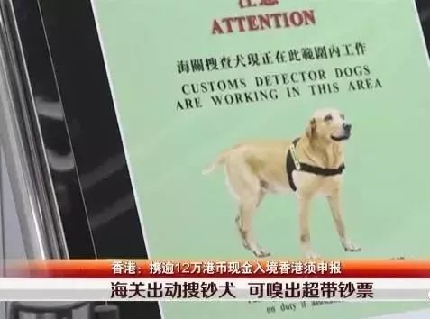 常德多人被处分,常德去深圳新规定