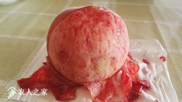 悠果观点：该向凤凰佳园学习什么？