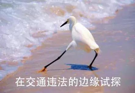 禁止右转标志右转扣分吗,左转车道右转了一定要罚款吗