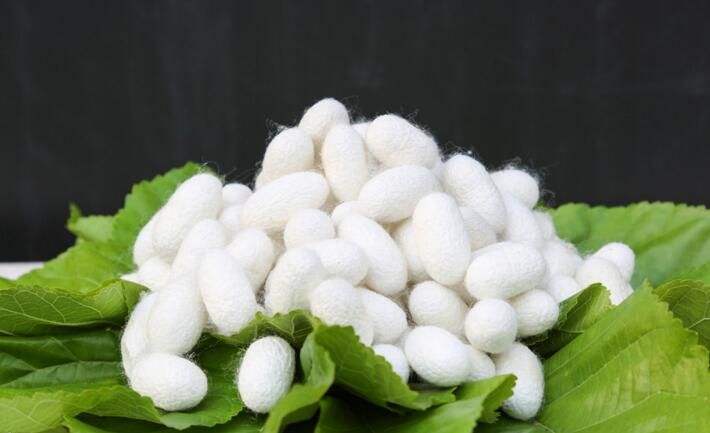 面料成分醋酯纤维用什么字母,面料中的醋酯纤维是什么