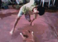 小区狗咬狗事件后续,小区内狗咬人怎么处理