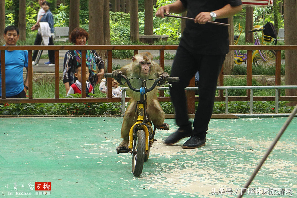 日照浴场海鲜攻略,日照海滨浴场旅游攻略