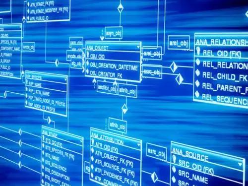 如何看一家公司人数,如何评估一个团队的整体实力