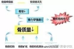 骨质疏松引起的老年性腰椎骨折,胸11椎体压缩性骨折怎么治疗