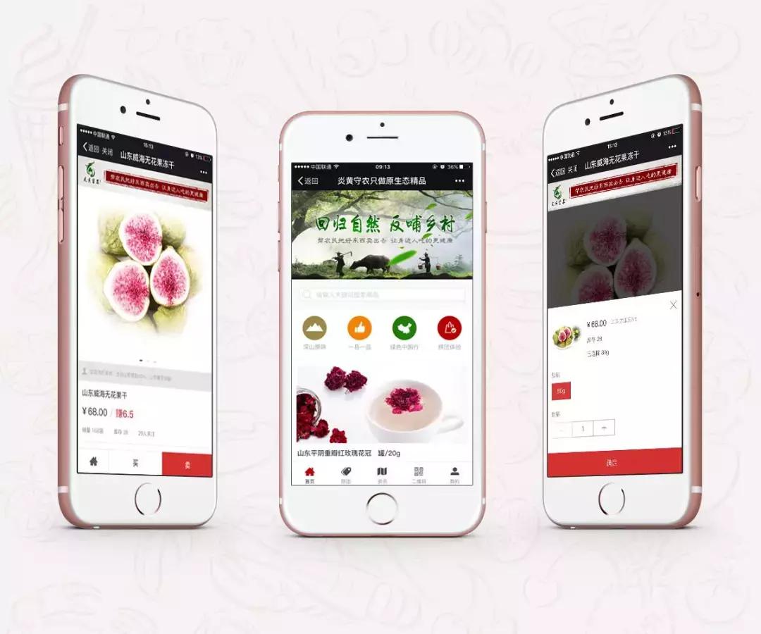 开发定制微商城系统的步骤,微商城需要什么条件