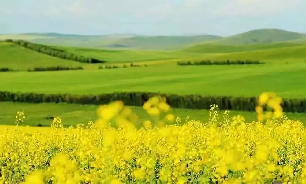 宁波飞往呼伦贝尔大草原,厦门呼伦贝尔直飞航班
