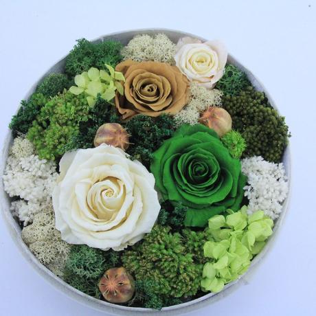 想要鲜花又心疼钱,想要鲜花就有鲜花