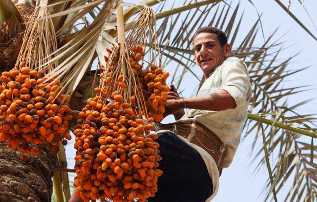 脑洞大开的降温,脑洞大开降温