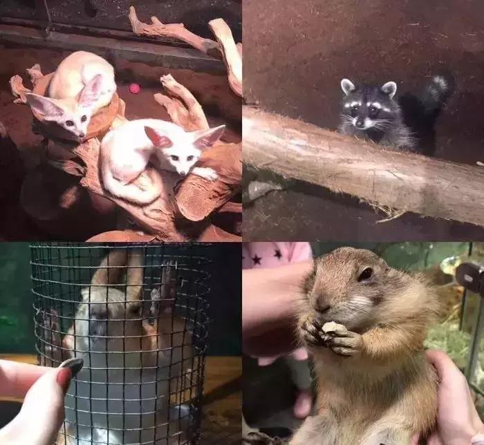 武汉室内凉快玩的地方,武汉夏日清凉的地方