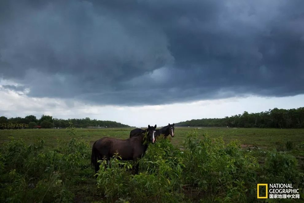 遗世独立，提维群岛｜我敬你是片世外天堂！