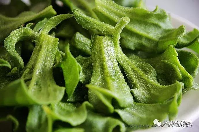 走进伊春的南大门,铁力给你一个不一样的夏天