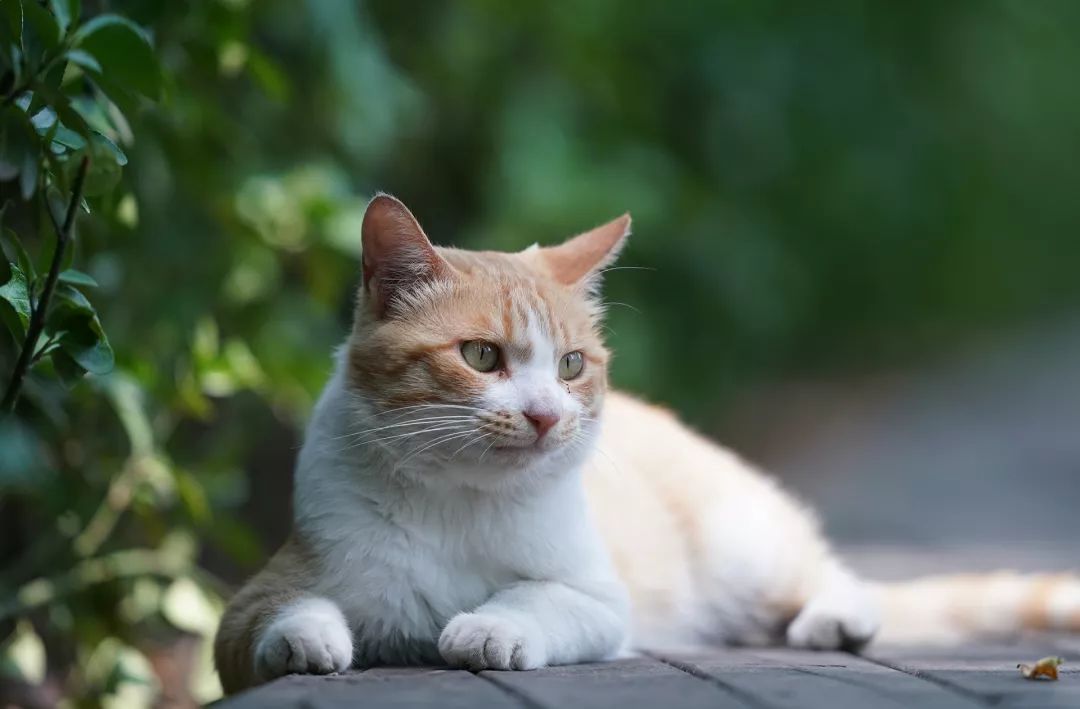 有了它再也不担心熬夜,有了它就不愁做饭了