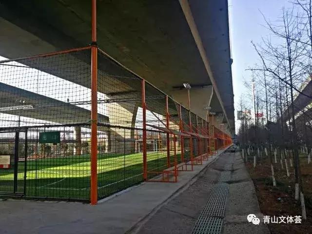 戴家湖附近足球场,戴家湖公园足球场免费吗