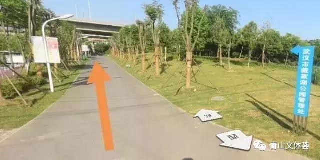 戴家湖附近足球场,戴家湖公园足球场免费吗