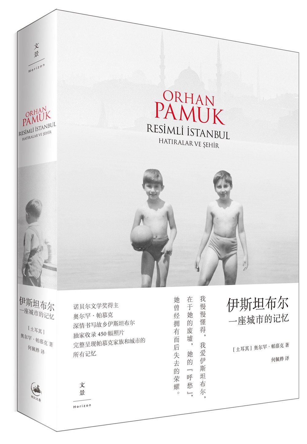 世界杯奖给谁,世界杯年的金球奖