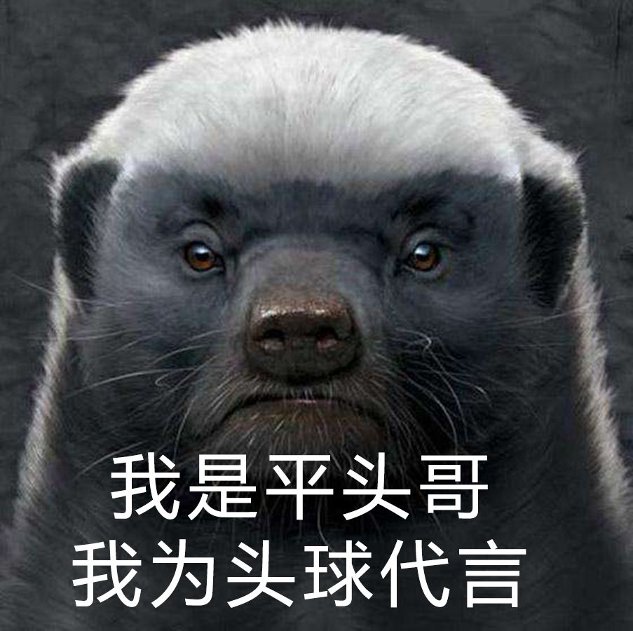 「沙富济贫」「马不停踢」稳中带皮的世界杯成语你知道吗？