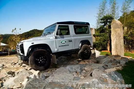 如果你想体验征服感，那养一头猛虎应该是不错的选择