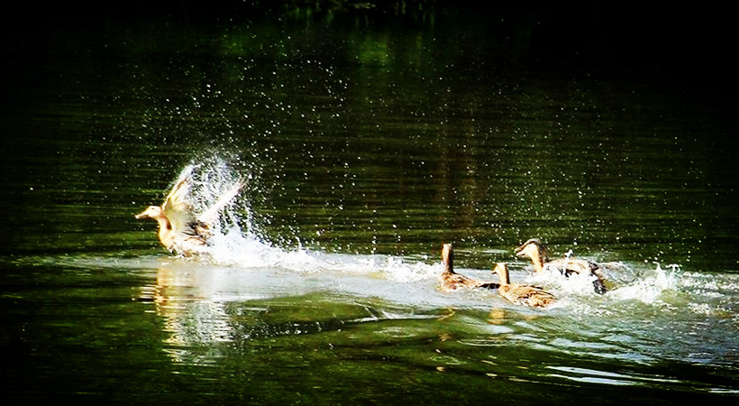 福州洪塘状元街因他得名，《明史》为他立传
