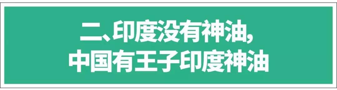 王子印度,王子印度尼西亚