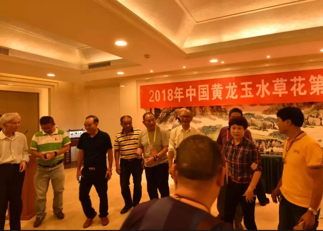 黄龙玉水草花亮点,顶级黄龙玉水草花