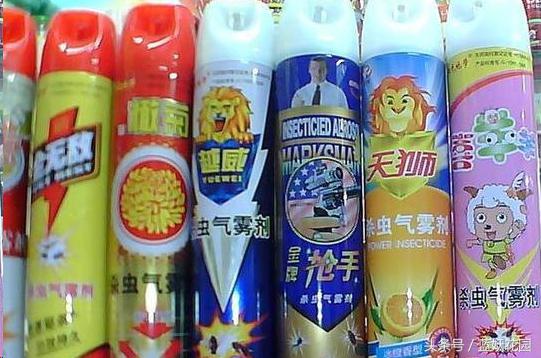 阳台种菜小黑飞怎么消灭最彻底,阳台种菜小黑飞怎么办