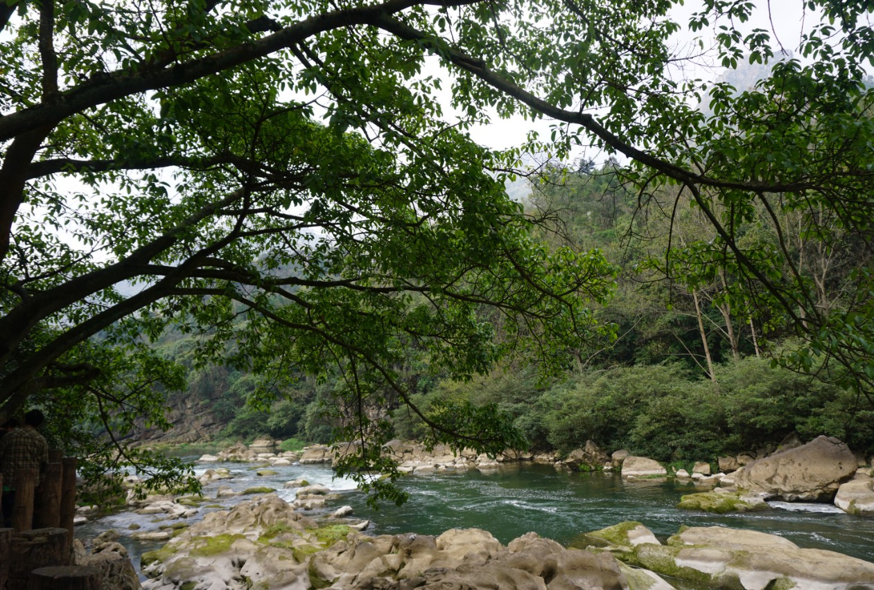 多彩贵州行——黄果树风景区之灵魂玲珑秀美“天星桥”