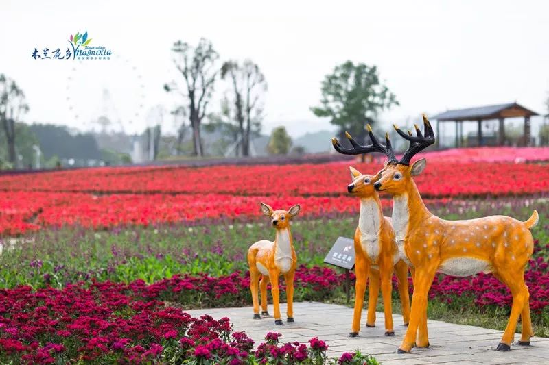 武汉暑假免费夏令营水上,暑假夏令营武汉市
