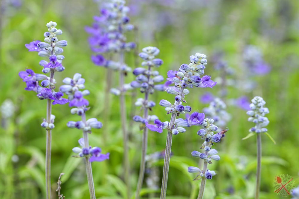 暑假带孩子逛公园,带孩子玩跳楼