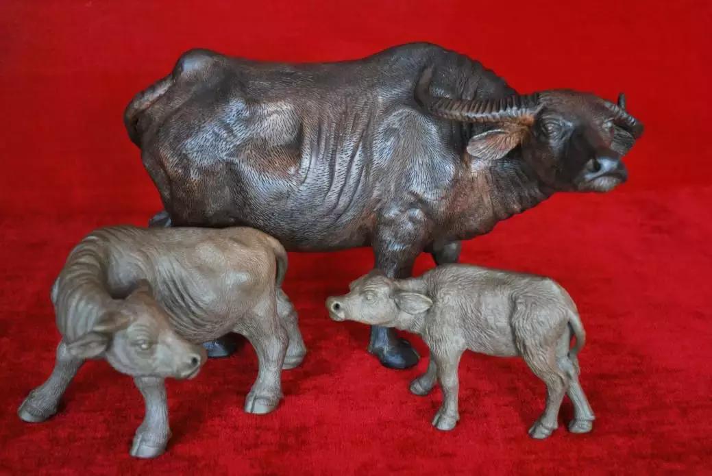 贵州遵义余庆旅游景点有哪些,余庆哪里卖特产