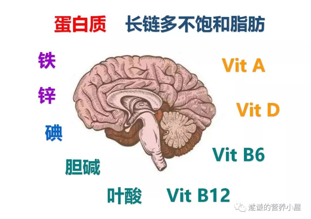 营养科普增强免疫力,科普营养健康抗衰老