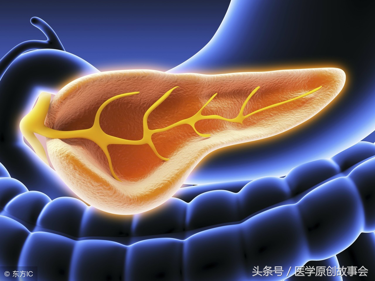 乔布斯胰腺癌起因,乔布斯从查出胰腺癌到死亡多久