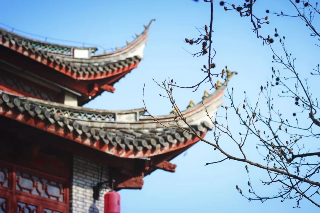 李清照写酒的诗10首,李清照10首最美诗词表达情感