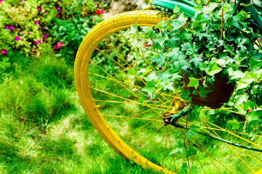 「交通生活」别去挤北戴河了！北京周边6大绝美岛屿，今年夏天一定要去一个！