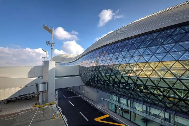 一切从梵高说起,一切从煎蛋说起