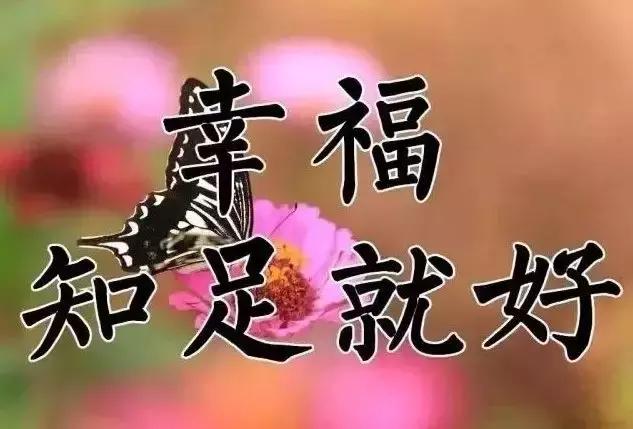 祝你天天快乐早上好图片,祝大家早上好天天有个好心情