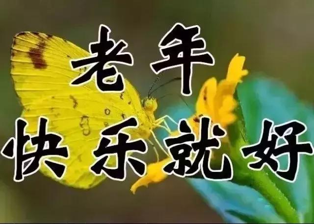 祝你天天快乐早上好图片,祝大家早上好天天有个好心情