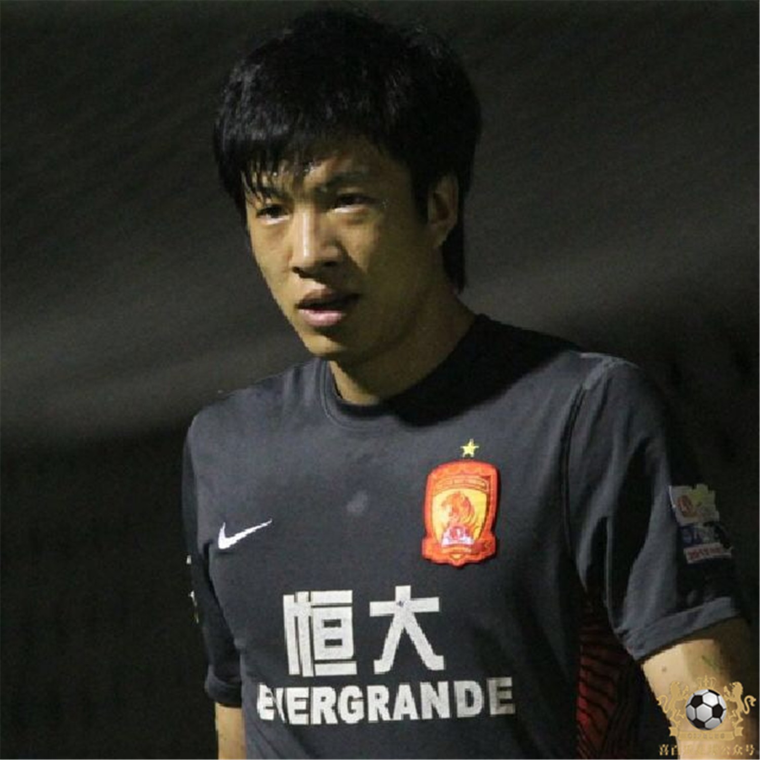 津门足坛双百颂陈金刚,津门足坛双百颂书籍