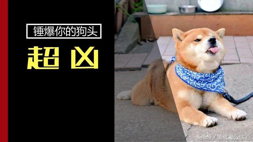 steam买到黑key,steam买到黑key会怎么样