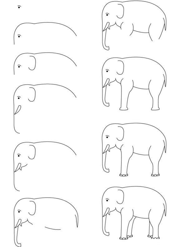 10000种超萌动物简笔画大全,简笔画动物教学视频大全