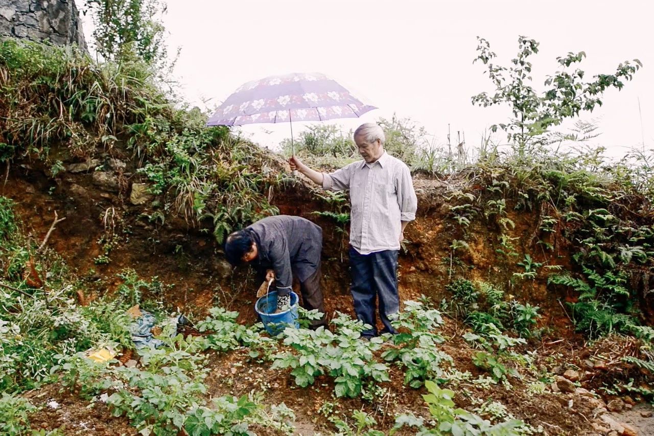 一个失业大叔，用1500元拍下自己幸福的父母，豆瓣9.2分！