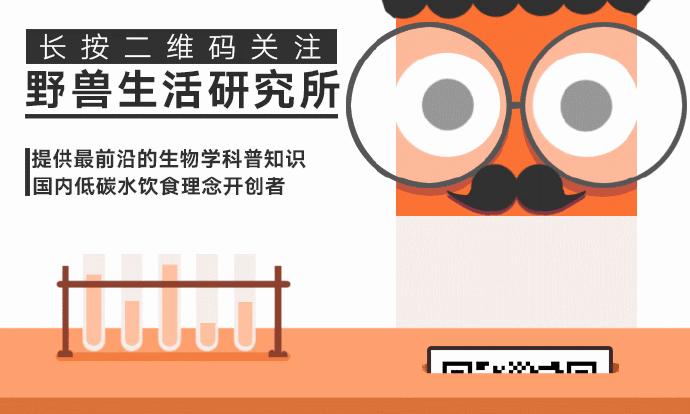 世界上最值得去的秘境,世界上南端的一处秘境