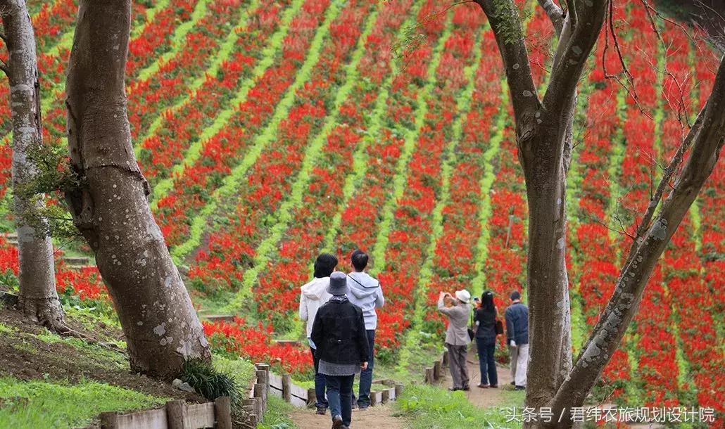 亲子牧场的标杆，看看这家年入2亿的母亲牧场是怎么做到的