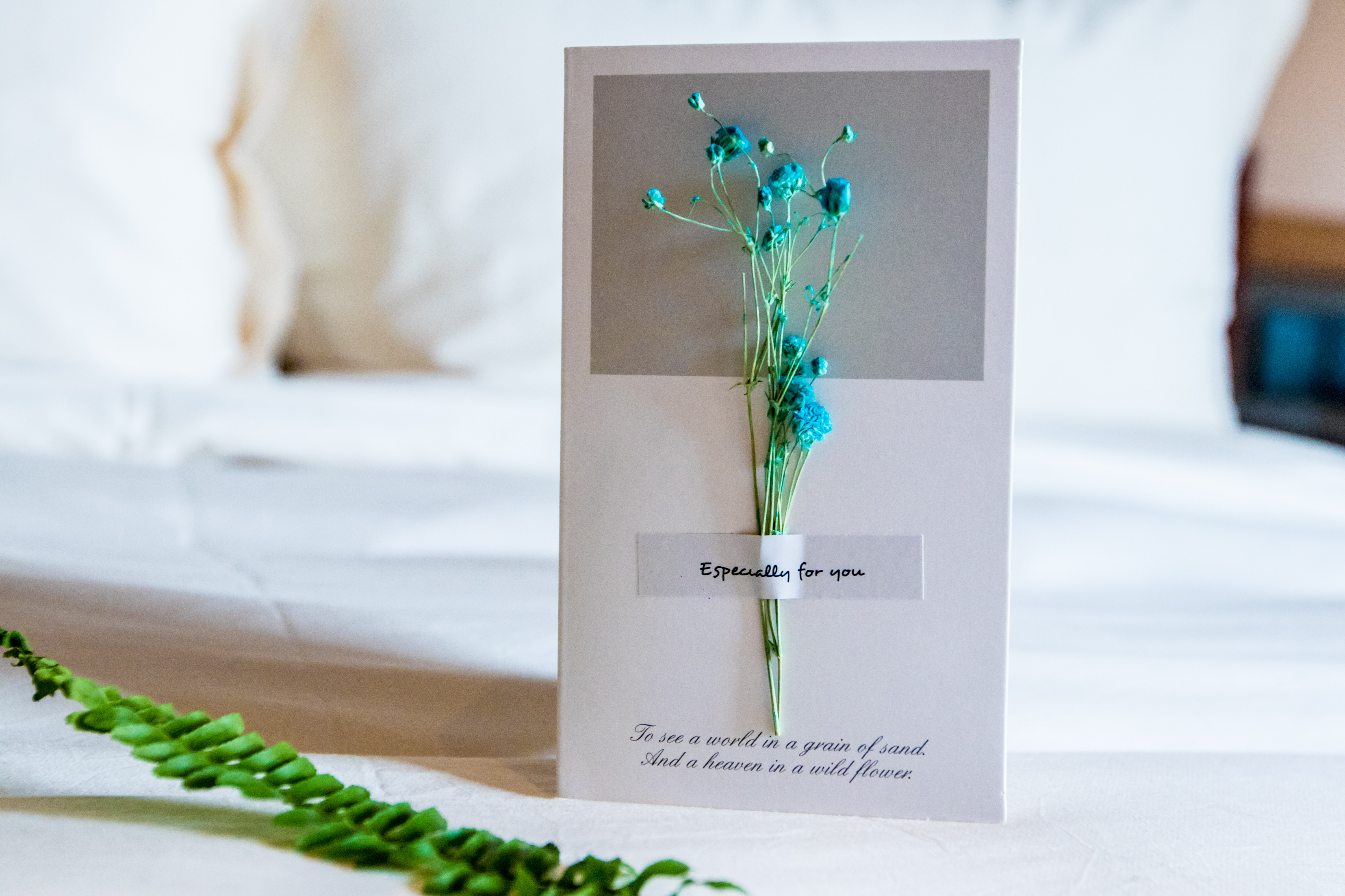 杭州的世外桃源在哪个区,杭州的世外桃源