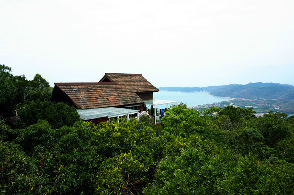 晒黑攻略,晒黑指南