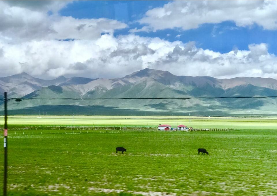 人教版八年级下七单元语法,人教八年级语法知识点