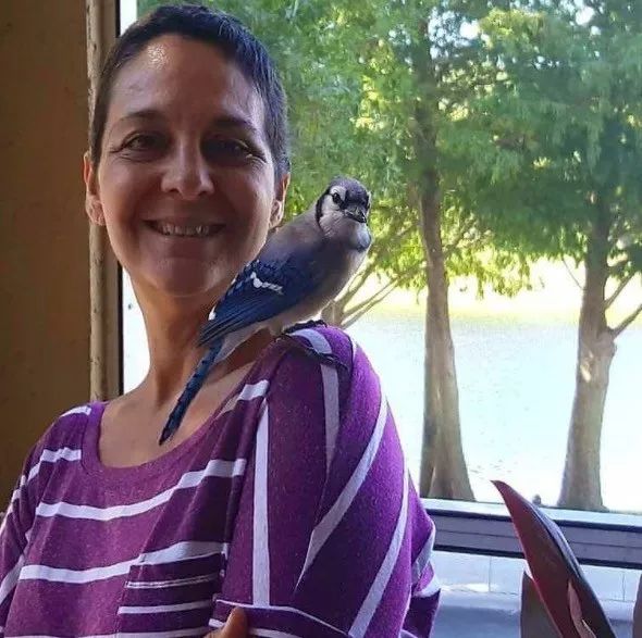 万物皆有灵性一个女孩救了只小鸟,万物皆有灵救小鸟