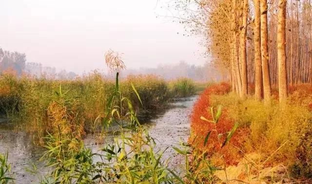 郓城水浒之乡好汉故里,郓城是好汉之乡吗